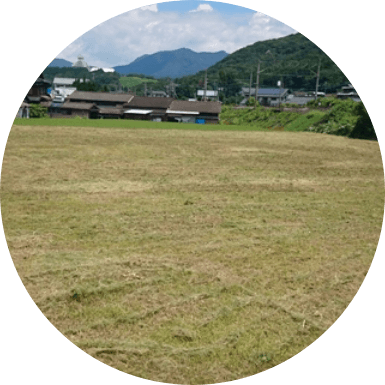 草刈り清掃イメージ